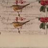 RLF Home Song Bird Banded 100% Cotton with Fully Lined 3" Rod Pocket Valnance for Windows 50" x 15" Beige