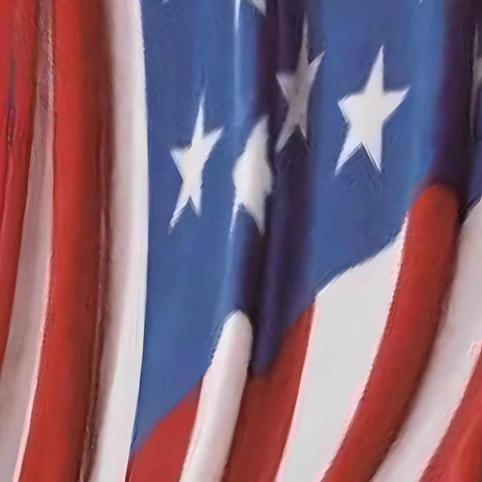 Plazatex American Flag Micro plush Decorative All Season Multi Color 50" X 70" Throw Blanket