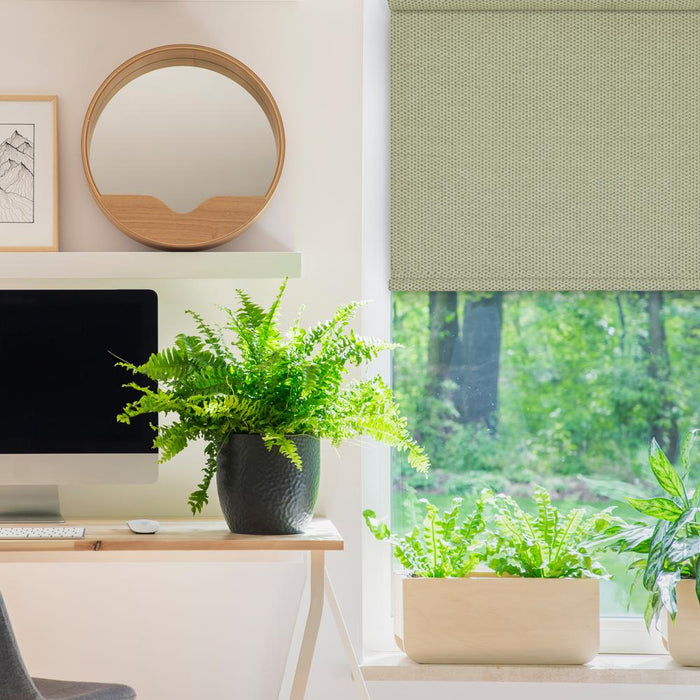 Versailles Marcellus Cordless Roman Light Filtering Shades For Windows Insides/Outside Mount Driftwood