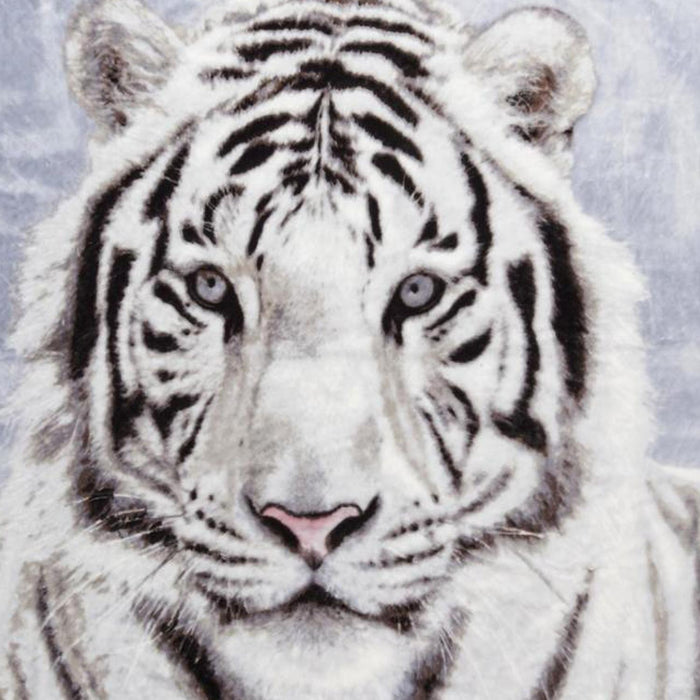 Shavel Hi Pile High Quality Luxurious And Incredibly Soft Warm Snuggly Throw Jumbo 60x80" - White Tiger
