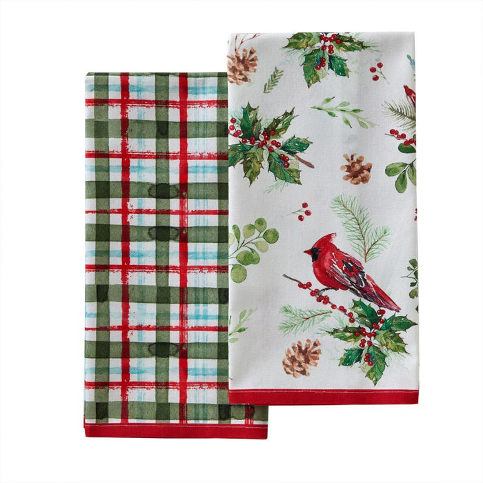 SKL Home By Saturday Knight Ltd Berry Cardinal Dish Towel - 2-Pack - 18X28", Multi